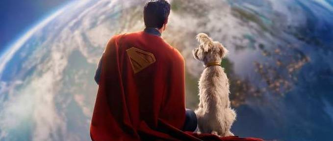 Superman - Dog Friendly