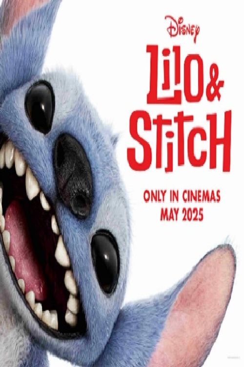 Lilo & Stitch Hawaiian Party Screening 